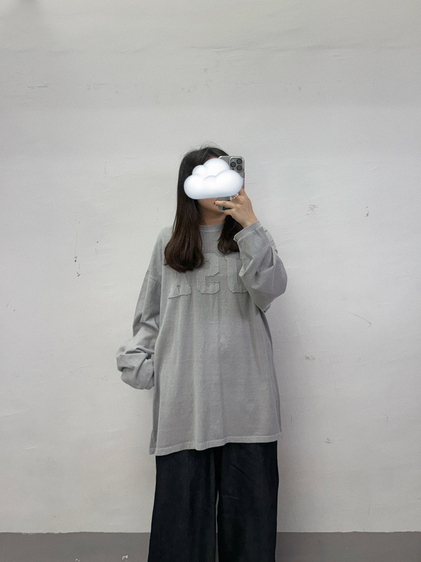 刺繡USA print top丨2 col