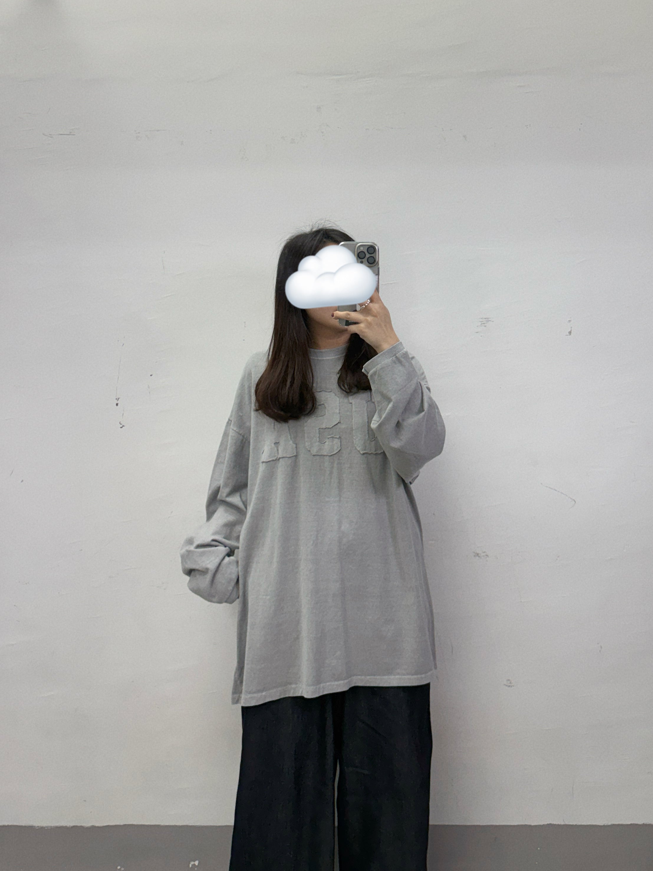 刺繡USA print top丨2 col